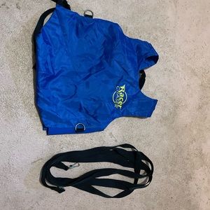 Ski harness with leads